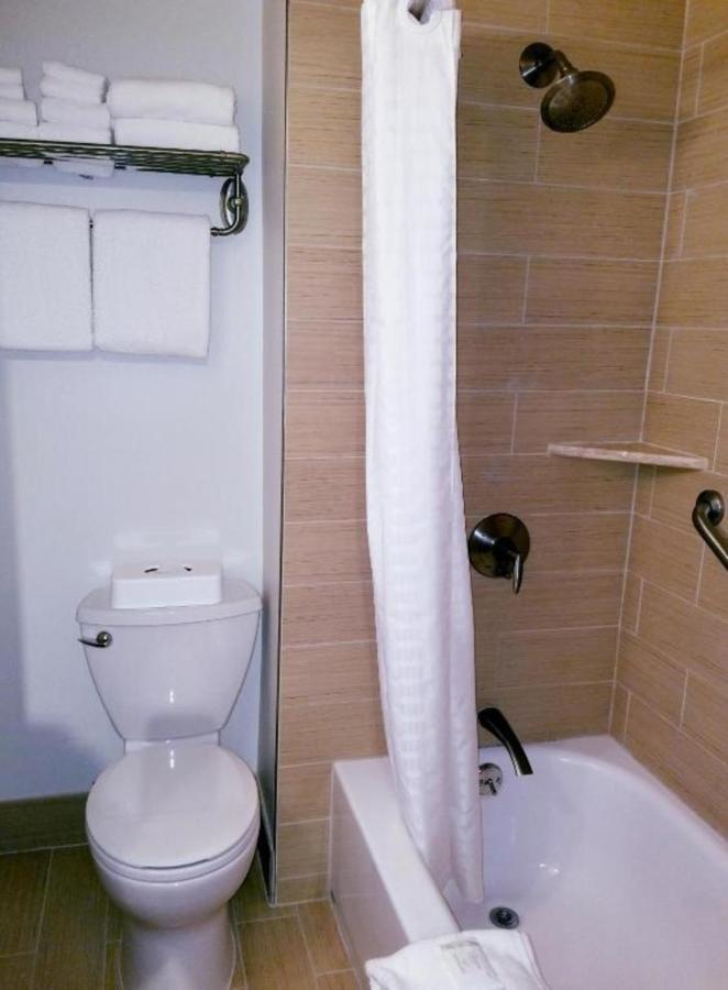 Private Condos In Waikiki, Private Car Rental Included, Beach Gear And Camping Gear Honolulu Esterno foto